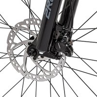 Велосипед Welt Storm 29 HD XL 2025 (Calm Graphite) в Витебске