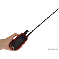 Ошейник с GPS-трекером Garmin Alpha 100/T5 010-01041-C3