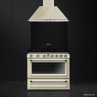 Кухонная плита Smeg TR90IP9