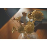 Беззеркальный фотоаппарат Sony Alpha a7C II Body (черный)