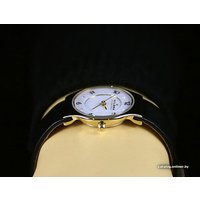 Наручные часы Skagen SKW2209