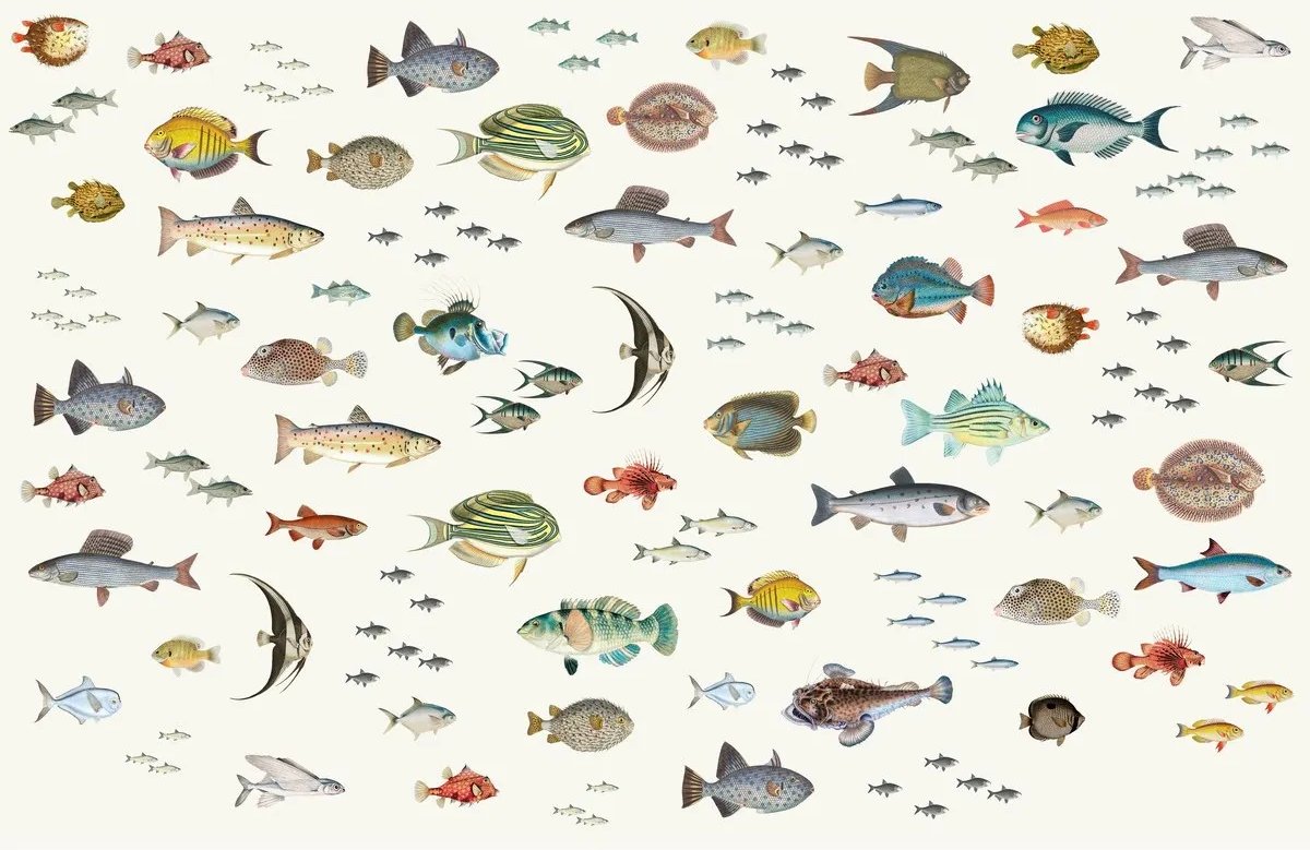 

Фотообои Citydecor Dreamy 3 (400x260см)