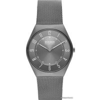 Наручные часы Skagen Grenen SKW6824