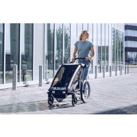 Детский велоприцеп Thule Chariot Lite 2 (Agave)