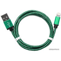 Кабель Cablexpert CC-ApUSB2gn1m