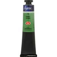 Акриловая краска Ладога 2204704 (46 мл, окись хрома)