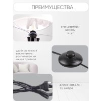 Торшер Aitin Pro НТБ 05-40-103 1904 (черный)