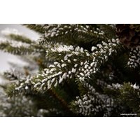 Ель GreenTerra Квебек 1.8 м