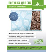 Спальная подушка Smart Textile Золотая пропорция 40x60 E796 (лузга гречихи, голубой)