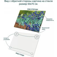 Картина Stamprint Ирисы В. ван Гог PT007 (50x70)