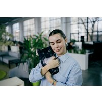 Игрушка-подушка Мальвина Чмоня кот мем 9.439.1