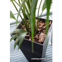 Вазон Multy Home Sonata EU5100008 (черный сланец)