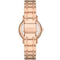 Наручные часы Skagen SKW3125 в Гомеле