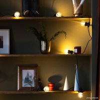 Светодиодная гирлянда Retlux RGL 115