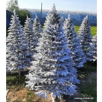 Ель Maxy Poland Наоми Заснеженная с литыми ветками 2.3 м