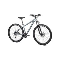 Велосипед Aspect Legend 29 M 2024 (серый)