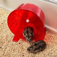 Клетка Ferplast Maxi Duna Multy 57033499W1