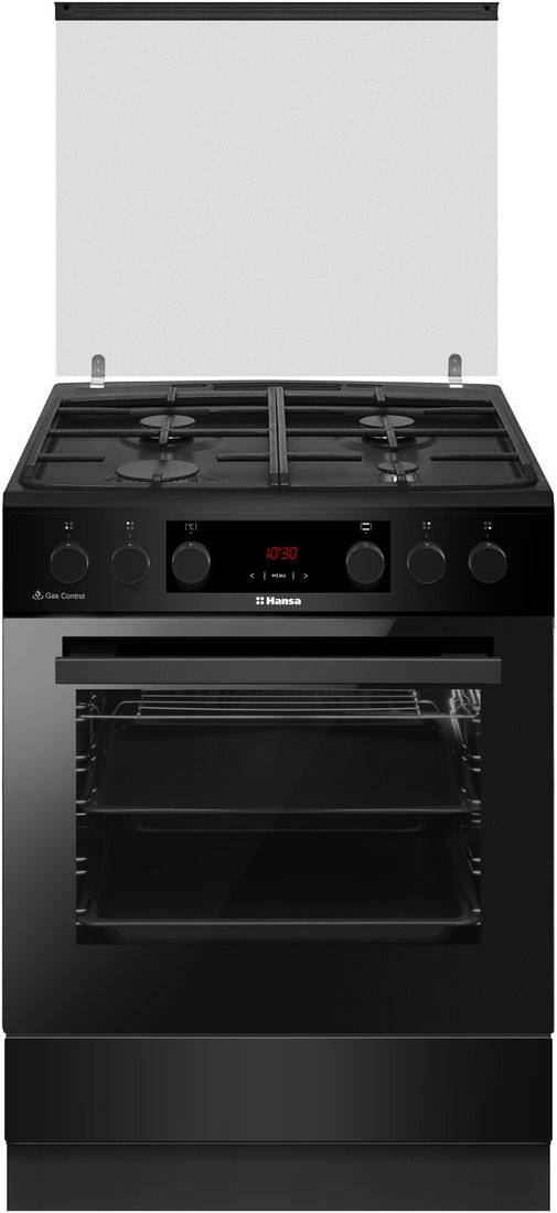 

Кухонная плита Hansa FCMM69329