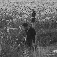  Виниловая пластинка Jesu & Sun Kil Moon - Jesu/Sun Kil Moon