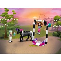 Конструктор LEGO Friends 41686 Волшебная акробатика