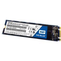 SSD WD Blue M.2 2280 250GB [WDS250G1B0B]