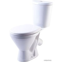 Унитаз напольный Rosa Элегант (белый)