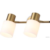 Люстра средней высоты Ambrella light Traditional TR3969/2 BS/FR