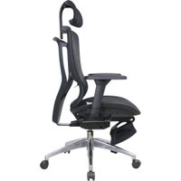 Офисное кресло Evolution Ergo Elite (черный)