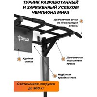 Турник Absolute Champion Центрл Спорт PRO АЧ 11644 (черный/черные ручки и пластина)