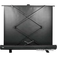 Проекционный экран CACTUS FloorExpert 113x200 CS-PSFLE-200X113