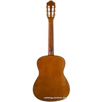 Акустическая гитара Fabio FB3610 SB