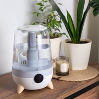 Увлажнитель воздуха Evolution HF-888 + набор кружек Makkua Cup Cozyday MC270