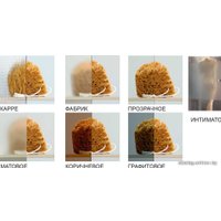 Душевой уголок Radaway Premium Plus C 100х100 (прозрачное стекло)