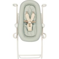 Шезлонг Beaba Lichen Transat Up & Down + Eu Lichen 915049