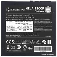 Блок питания SilverStone HELA 1200R Cybenetics Platinum SST-HA1200R-PM