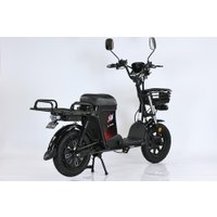 Электровелосипед Smart Balance Master Pro 50 Ah 2025 в Бресте