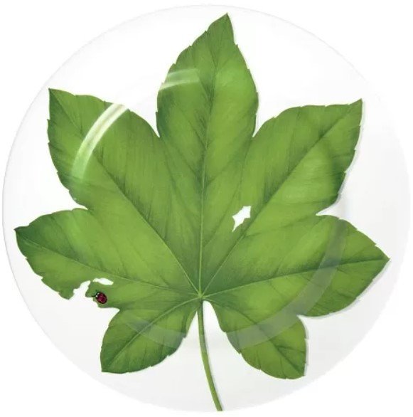 

Блюдо Taitu Freedom Leaf 1-86-A