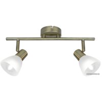 Точечный светильник Arte Lamp Parry A5062AP-2AB