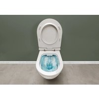 Унитаз подвесной Serel SM26KSS110H с крышкой 223BT00002 в Бобруйске