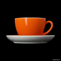 Чашка с блюдцем Corone Gusto 4616/4618 фк1718