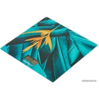 Напольные весы SunWind SSB055