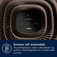 Очиститель воздуха Electrolux EPO50351BG