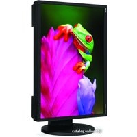 Монитор NEC MultiSync EA261WM