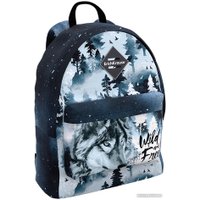 Школьный рюкзак Erich Krause EasyLine 17L Timber Wolf 60137