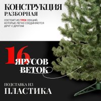 Пихта Erbis Jodla 220