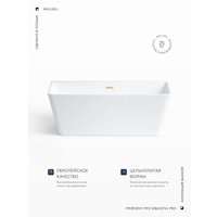 Ванна Wellsee Graceful Pro 140x74 230901004 (отдельностоящая ванна белый глянец, экран, ножки, сифон-автомат золото)