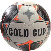 Футбольный мяч Gold Cup Semi-1 (5 размер)