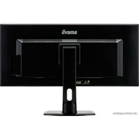 Монитор Iiyama ProLite XUB3490WQSU-B1