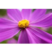 Объектив Panasonic Lumix S 28-200mm F/4-7.1 Macro O.I.S.