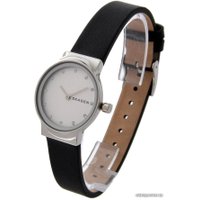 Наручные часы Skagen SKW2668